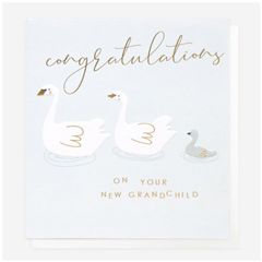 wenskaart caroline gardner - congratulations on your new grandchild