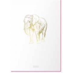 letterpress ansichtkaart met envelop - olifant
