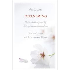 condoleancekaart - met oprechte deelneming verlies dierbare - witte bloem | muller wenskaarten