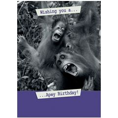 verjaardagskaart second nature - wishing you a apey birthday!