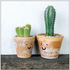 wenskaart woodmansterne - cactussen