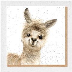 wenskaart fine art - vrolijke lama alpaca