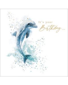 wenskaart second nature - dolfijn - it’s your birthday 
