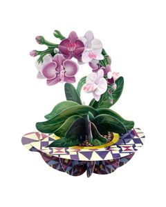 3D kaart - pirouettes cards - orchidee | muller wenskaarten