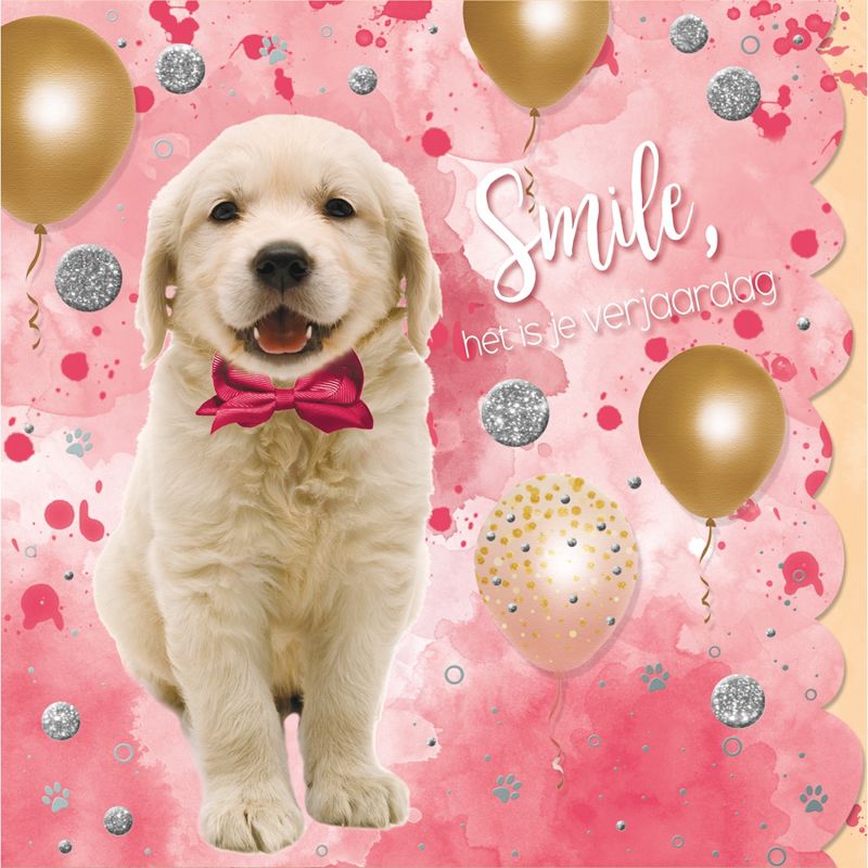 Verjaardagskaart Cuddles Smile Het Is Je Verjaardag Hondje Muller Wenskaarten